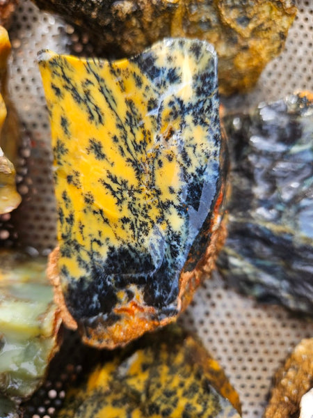 Dendritic Opal  rough.  DOR286