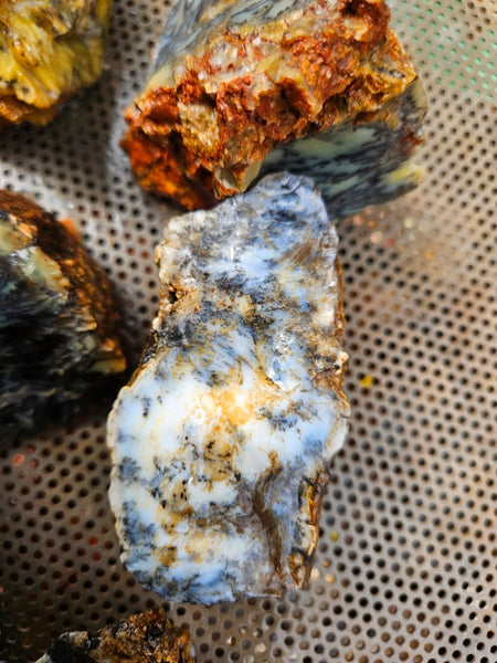 Dendritic Opal  rough.  DOR286