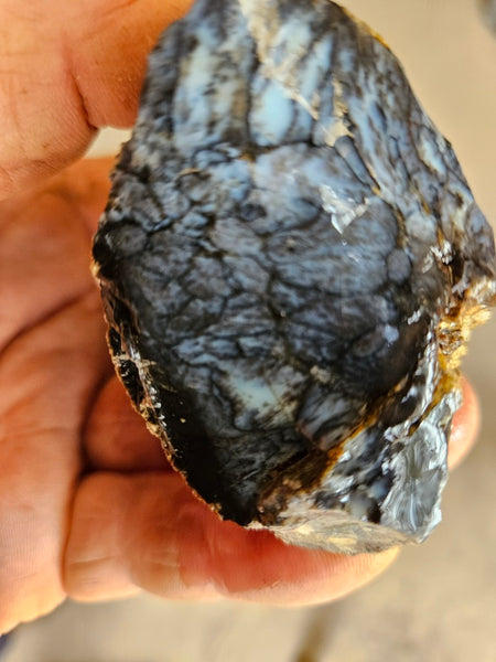 Dendritic Opal  rough.  DOR286