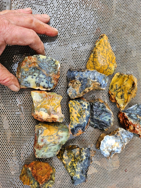 Dendritic Opal  rough.  DOR286