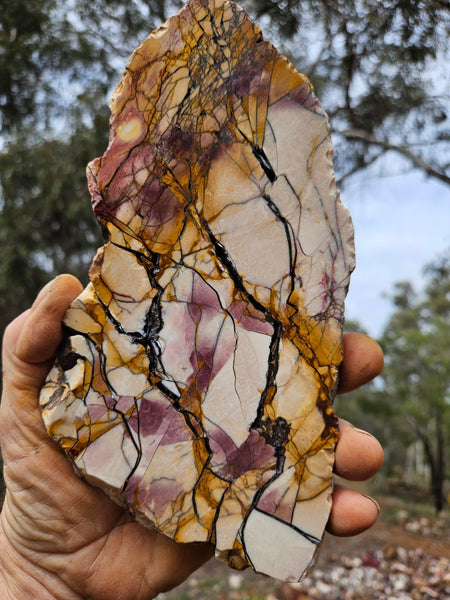 Polished Brecciated Mookaite slab BM344