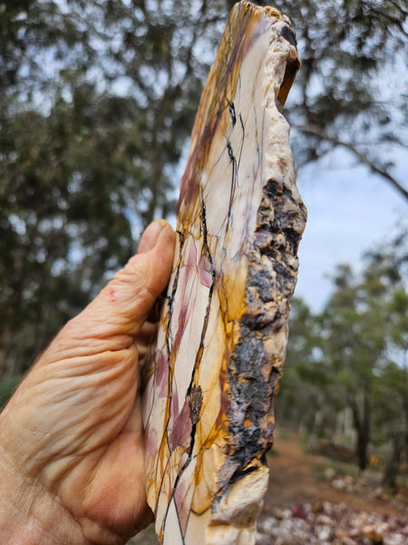 Polished Brecciated Mookaite slab BM344