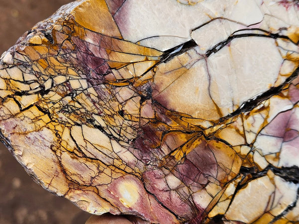 Polished Brecciated Mookaite slab BM344