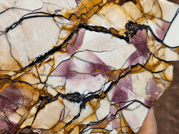 Polished Brecciated Mookaite slab BM344
