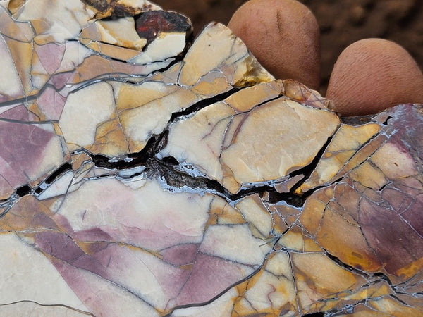 Polished Brecciated Mookaite slab BM344