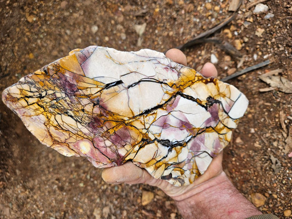 Polished Brecciated Mookaite slab BM344