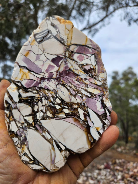 Polished Brecciated Mookaite  BM343