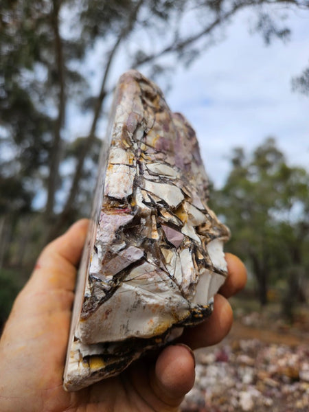 Polished Brecciated Mookaite  BM343