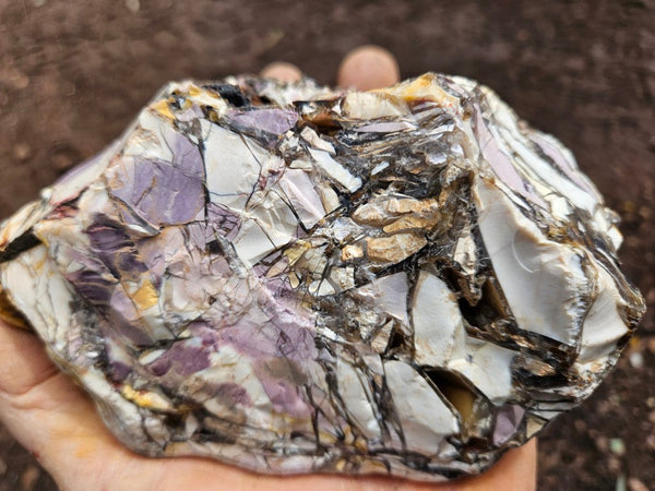 Polished Brecciated Mookaite  BM343