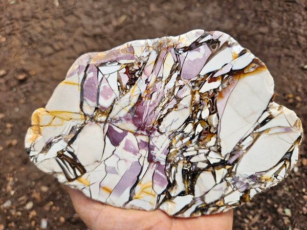 Polished Brecciated Mookaite  BM343