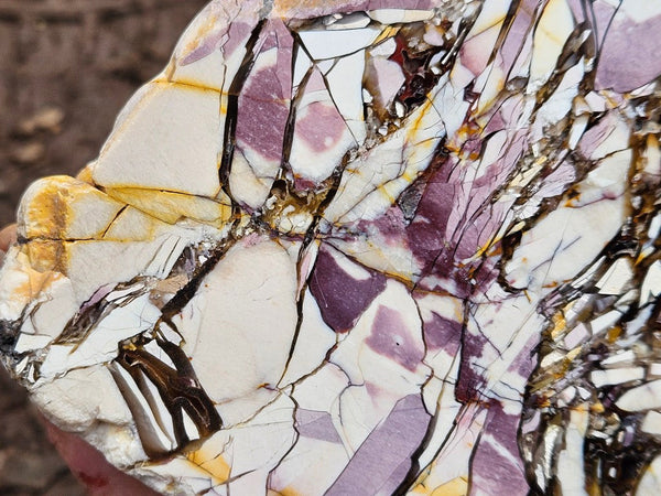 Polished Brecciated Mookaite  BM343