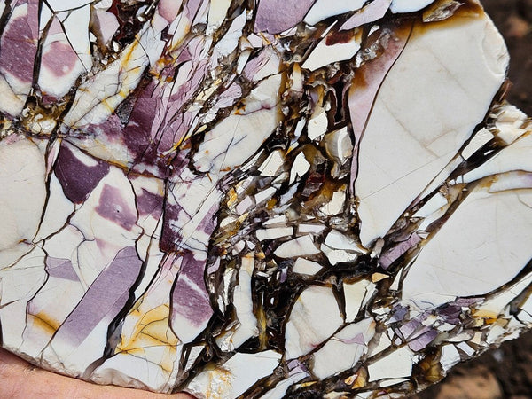 Polished Brecciated Mookaite  BM343