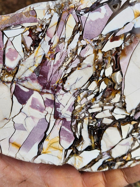 Polished Brecciated Mookaite  BM343