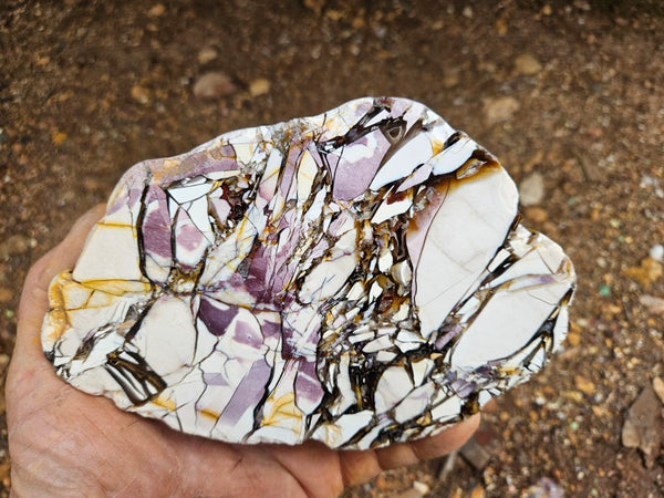 Polished Brecciated Mookaite  BM343