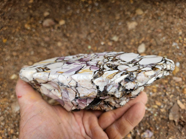 Polished Brecciated Mookaite  BM343
