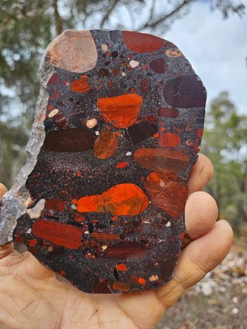 Jelly Bean Jasper polished slab JBJ365