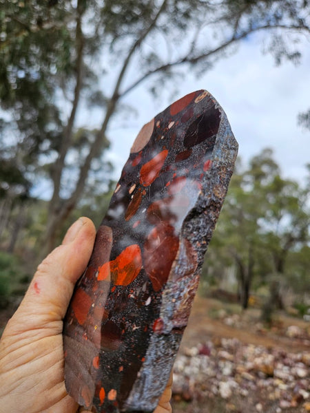 Jelly Bean Jasper polished slab JBJ365