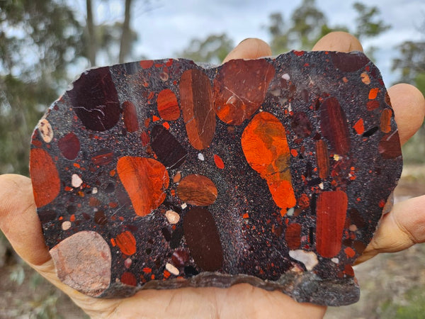 Jelly Bean Jasper polished slab JBJ365
