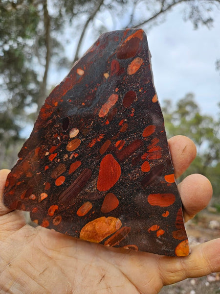 Jelly Bean Jasper polished slab JBJ366