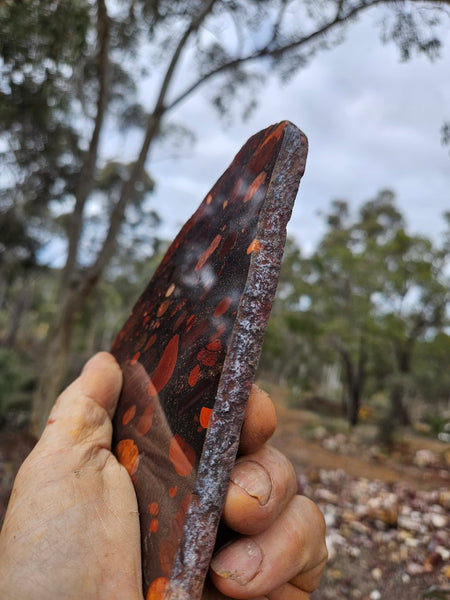 Jelly Bean Jasper polished slab JBJ366