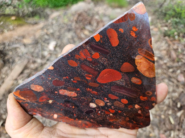 Jelly Bean Jasper polished slab JBJ366