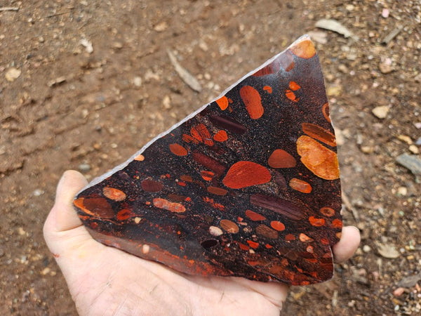 Jelly Bean Jasper polished slab JBJ366