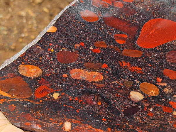 Jelly Bean Jasper polished slab JBJ366