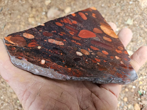 Jelly Bean Jasper polished slab JBJ366