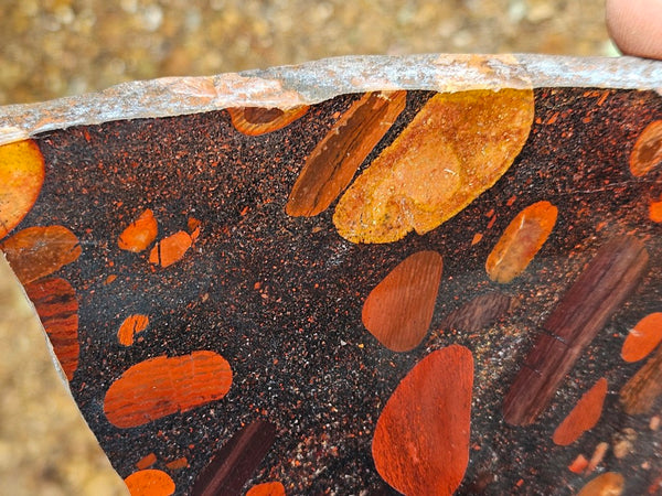 Jelly Bean Jasper polished slab JBJ366
