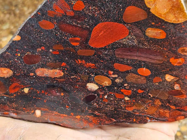 Jelly Bean Jasper polished slab JBJ366