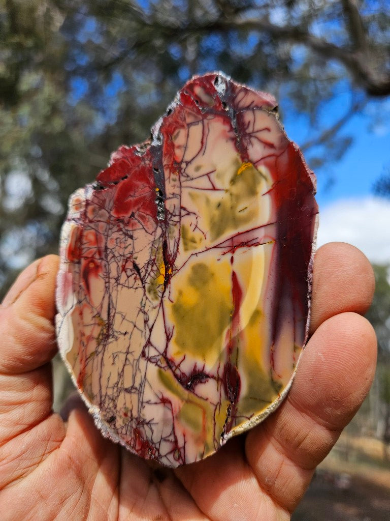 Polished  Mookaite slab MK608