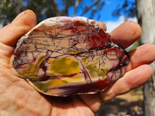 Polished  Mookaite slab MK608