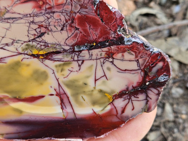 Polished  Mookaite slab MK608