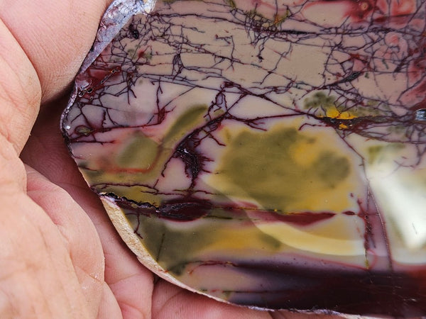Polished  Mookaite slab MK608