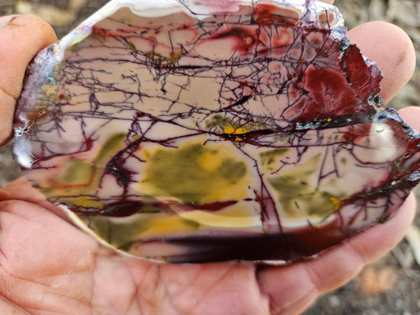 Polished  Mookaite slab MK608