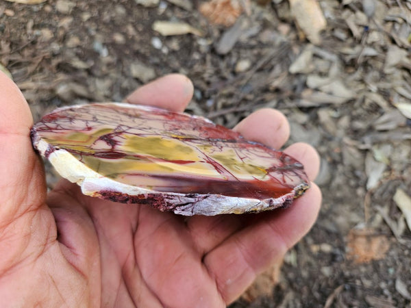 Polished  Mookaite slab MK608