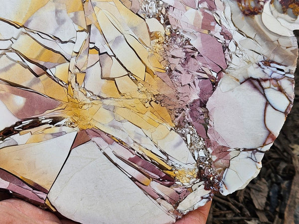 Polished Brecciated Mookaite slab BM345