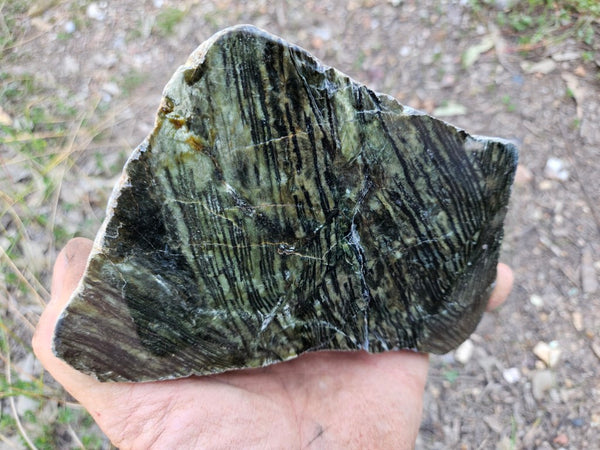 Polished Komatiite KOM101