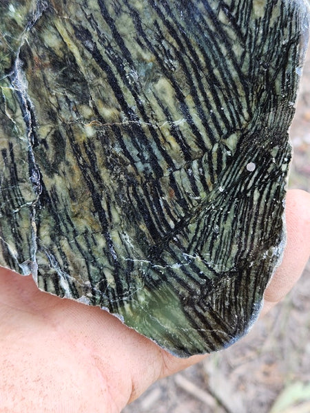 Polished Komatiite KOM101