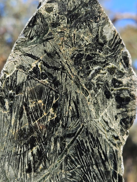 Polished Komatiite KOM102