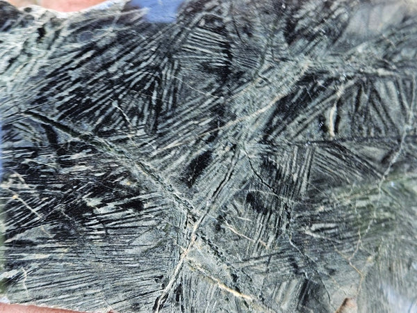 Polished Komatiite KOM102