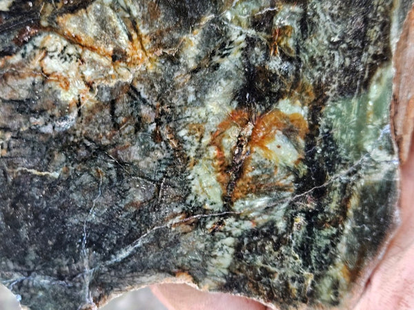 Polished Komatiite KOM103