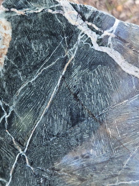 Polished Komatiite KOM104