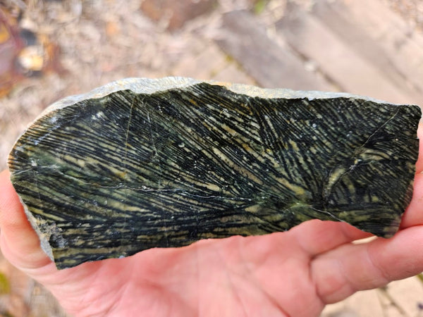 Polished Komatiite slab KOM105