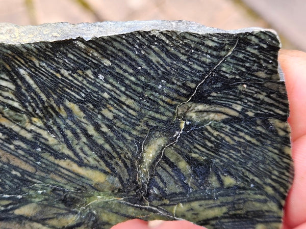 Polished Komatiite slab KOM105