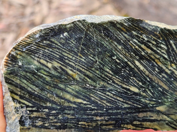Polished Komatiite slab KOM105