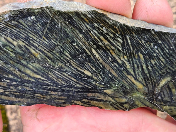 Polished Komatiite slab KOM105