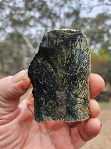 Polished Komatiite slab KOM106