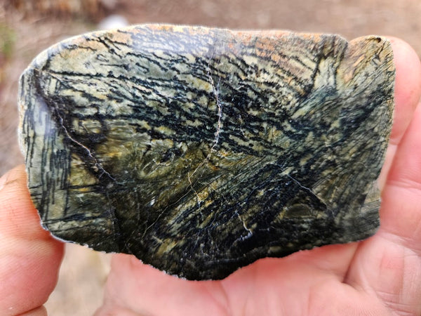 Polished Komatiite slab KOM106