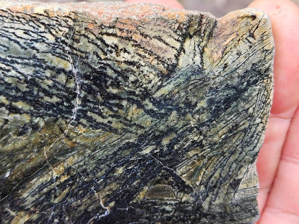 Polished Komatiite slab KOM106
